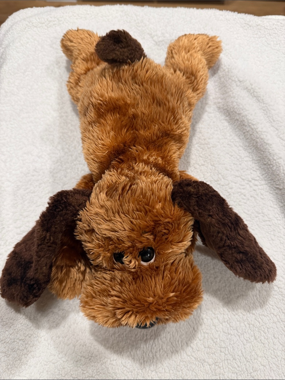 TY Classic Memphis The Floppy Dog 2001 collectibles-15 inches in length like new